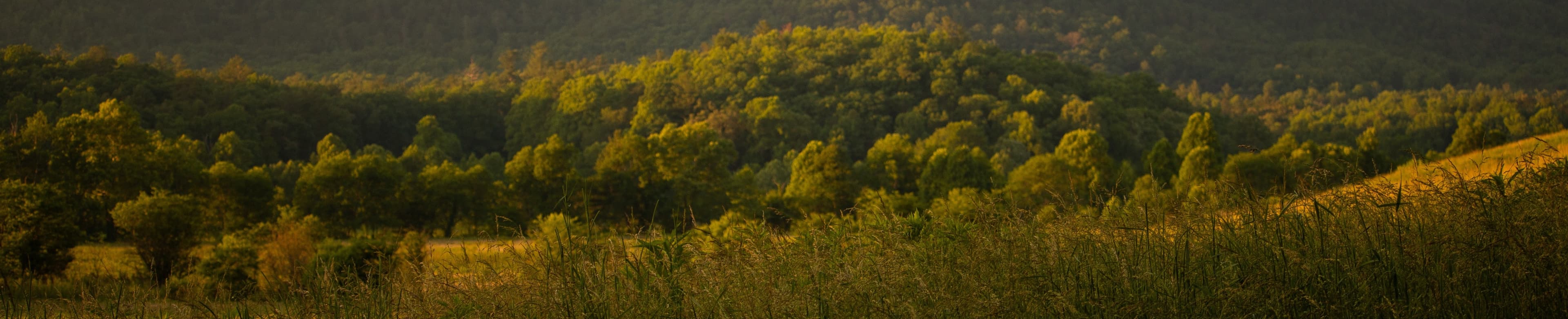 Rolling countryside